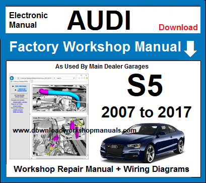 Audi S5 Service Repair Workshop Manual Download