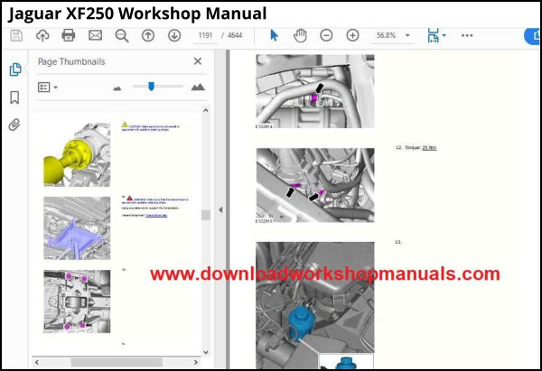Jaguar XF250 Workshop Manual download