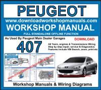 Service Workshop Manual & Repair PEUGEOT 806 1994-2002 WIRINGFOR DOWNLOAD 
